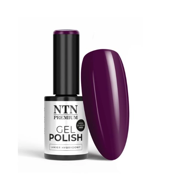 NTN Premium Hybridní lak - Romantica Collection č. 104, 5g