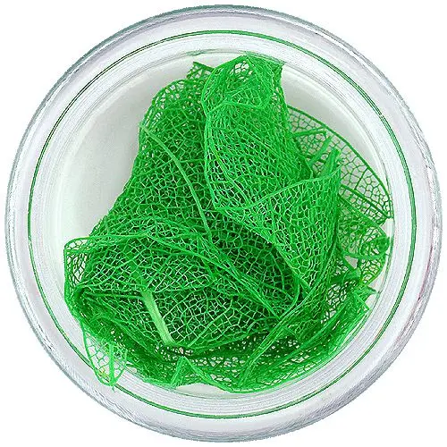 Tmavě zelené listy na nehty – sušené